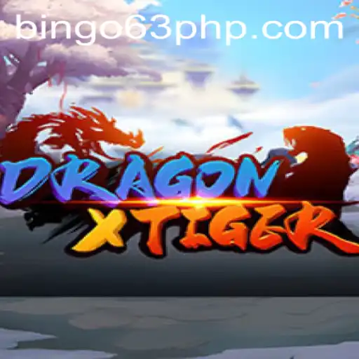 DragonXTiger: An Exploration of Strategy and Chance