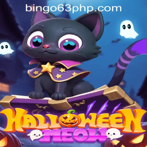 Exploring HalloweenMeow: The Spooky and Fun Adventure of Bingo63.com