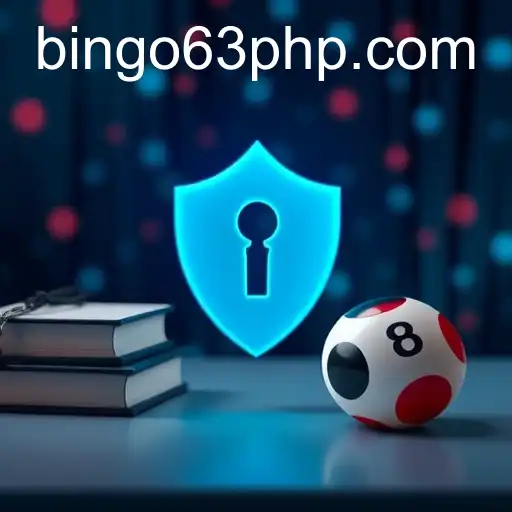 Exploring Privacy Policies with Bingo63.com