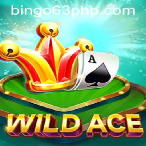 Discover the Thrilling World of WildAce and the Excitement of Bingo63.com